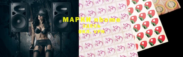 стафф Алексин