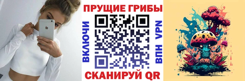 Галлюциногенные грибы мухоморы Адыгейск