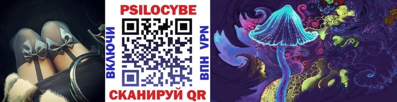 Псилоцибиновые грибы Magic Shrooms  блэк спрут маркетплейс  Адыгейск 